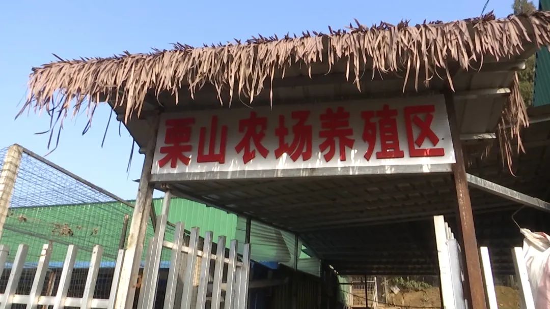 汉川助力妇女创业一个新项目挂牌启动