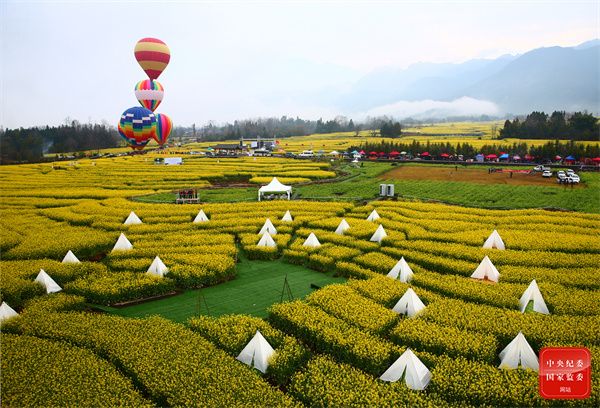 镜头今年五一旅游火了