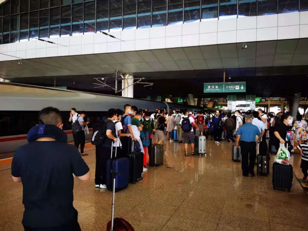 g572,g586,g864,g1535,g696,g647,g832,g2044,g852,g867,g94,g