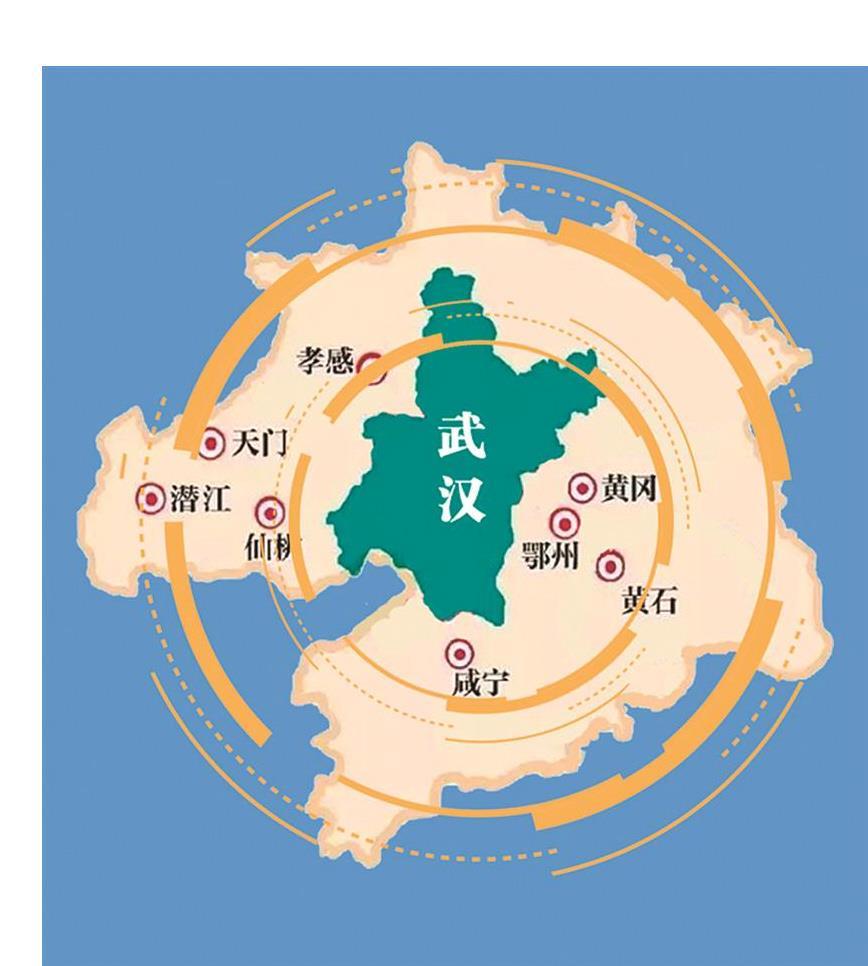 十问武汉城市圈③产业链如何延链出圈