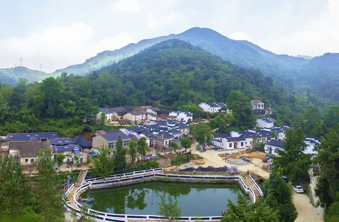 孝昌县小悟乡全域绿化扮靓景乡村旅游绘振兴