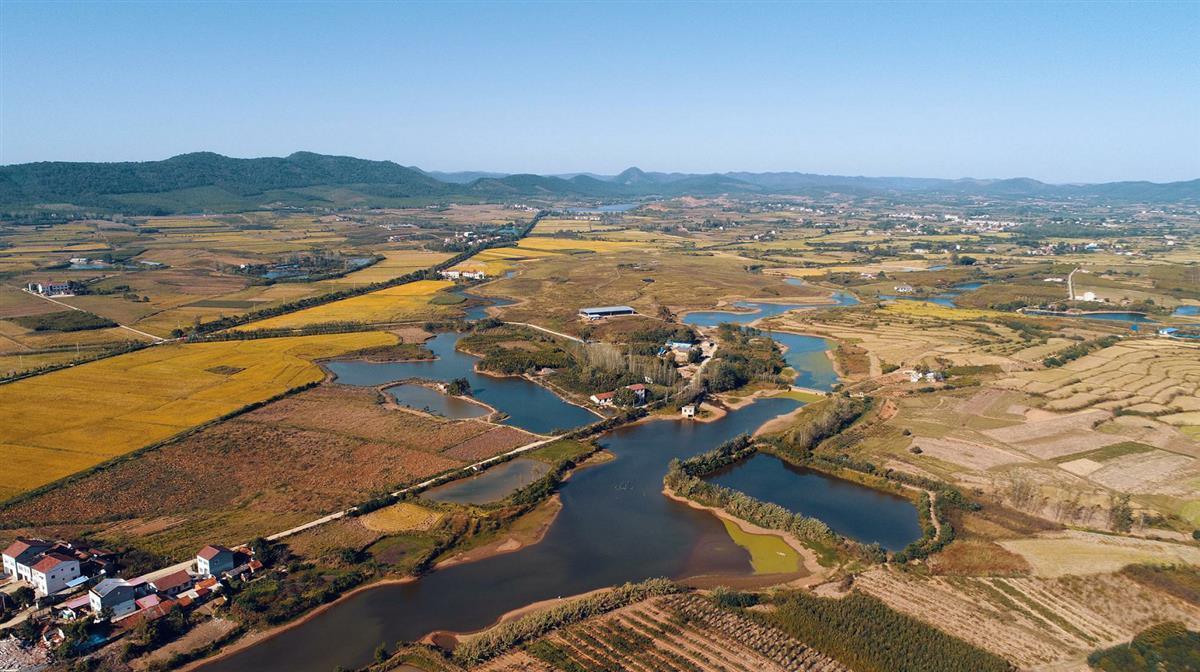 5月21日记者获悉,湖北省文物考古研究院与北京大学考古文博学院崔剑锋