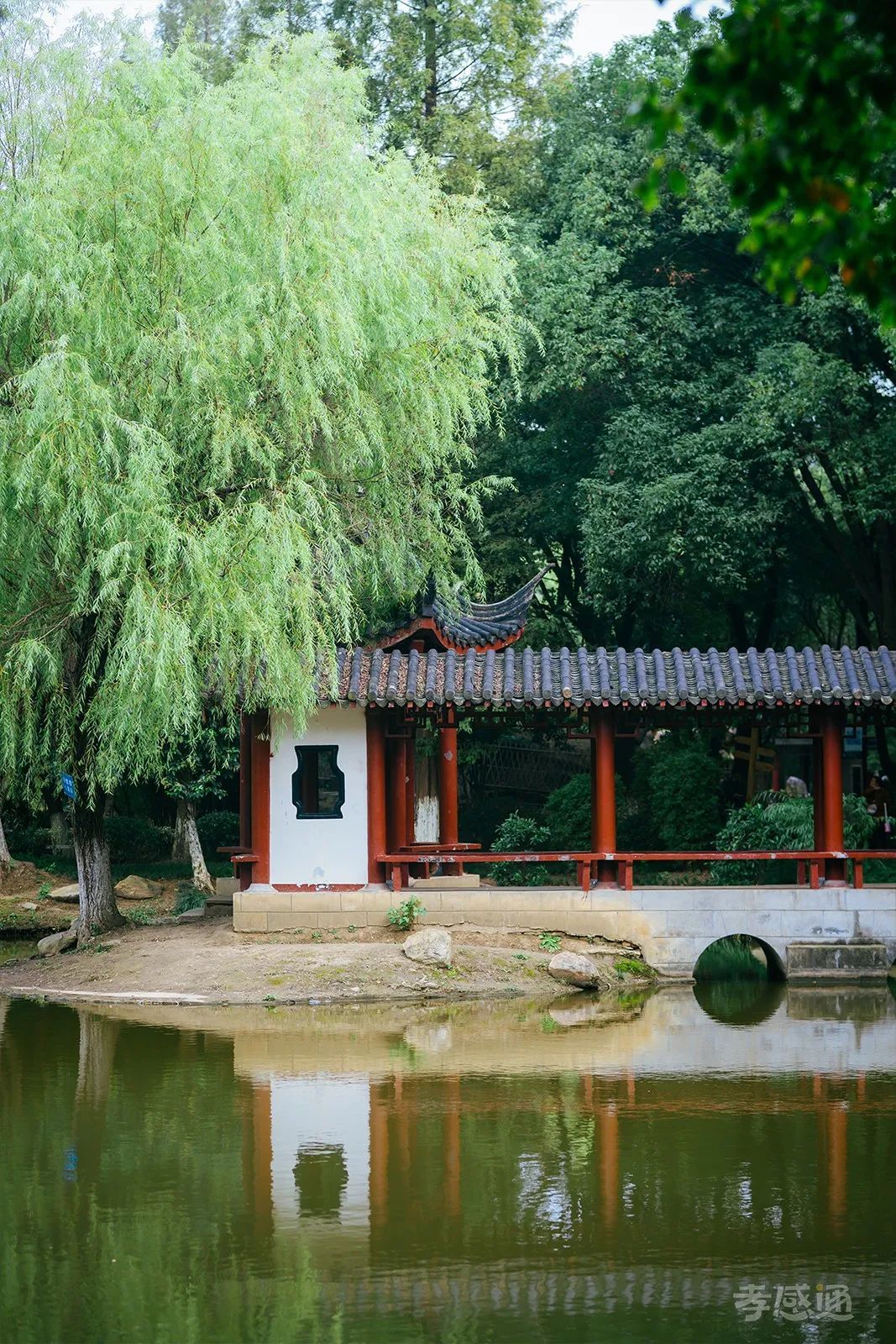 董永公园风景介绍图片