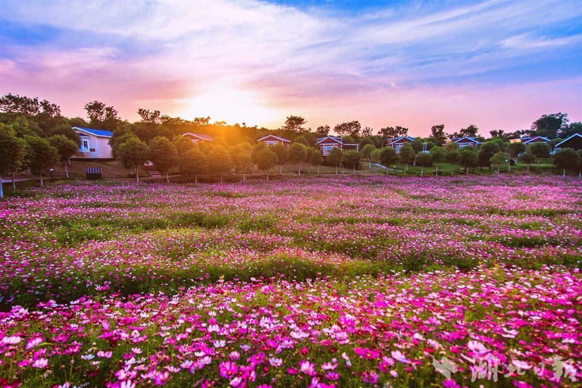 乡约诗和远方湖北美丽乡村休闲旅游打卡点请速收藏