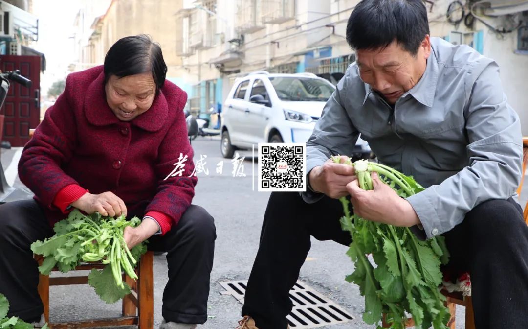 唐贤美与肖飞亲切地坐在一起摘菜(5602894)-20250407102523.jpg