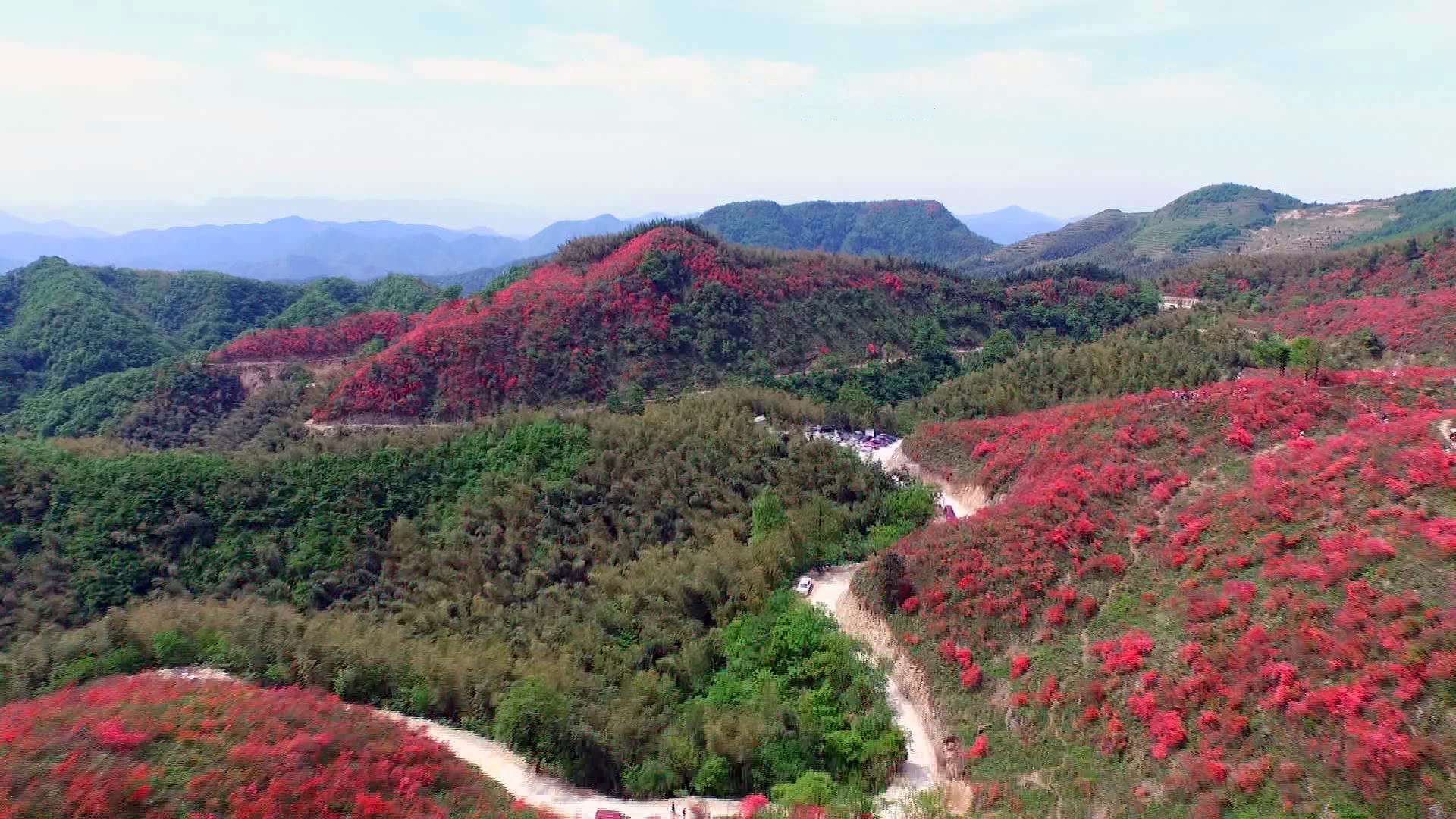 通山大幕山:春日风景美如画 赏花游玩好去处