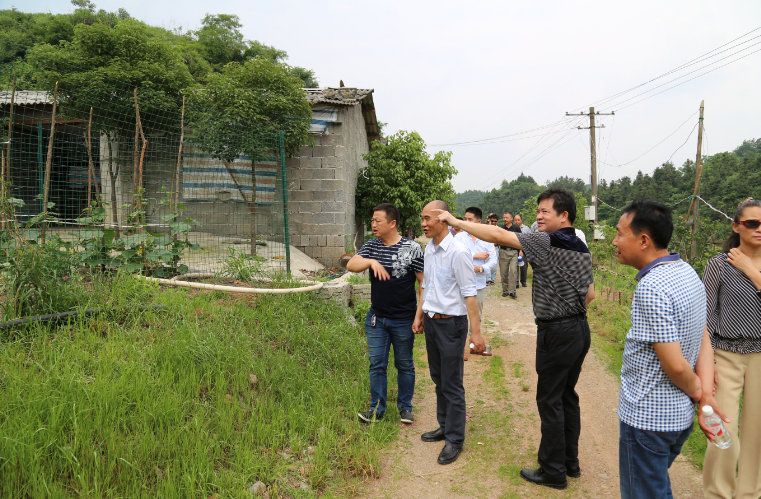 崇阳县网站建设_(崇阳县网站建设项目招标)