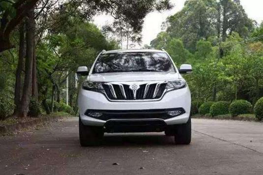 董明珠花30亿造出菊花牌suv颜值与实力并存售价却不足10万