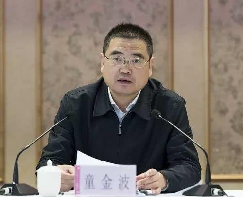 违纪被免职后又复出原阳新县委书记童金波被双开