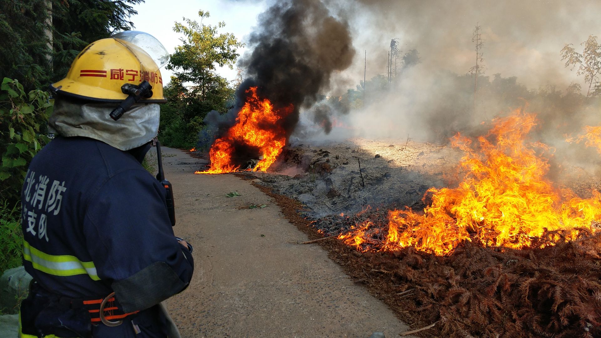 可见汽车已被烧成一具残骸,由于火势过大,火苗引燃了四周地面上的杂草