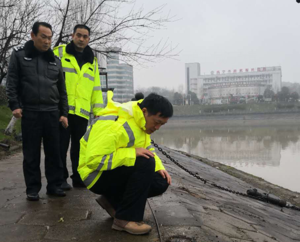 潜江肖天树图片