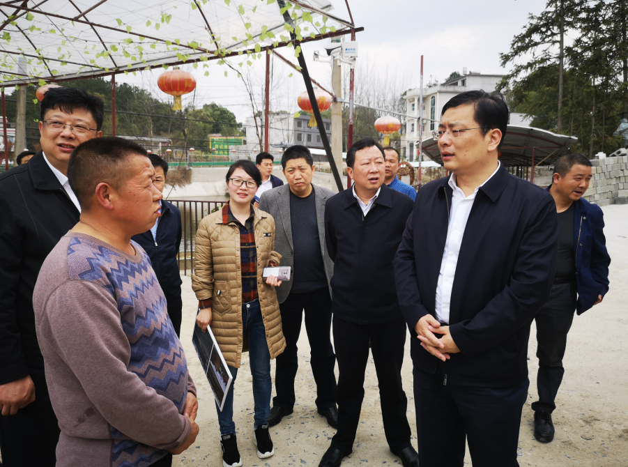 丁小强王远鹤彻底整治大棚房问题着力改善农村人居环境