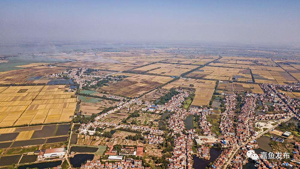 簰洲湾镇距省会武汉50公里,毗邻长江,水陆交通十分便利,曾有"小汉口"