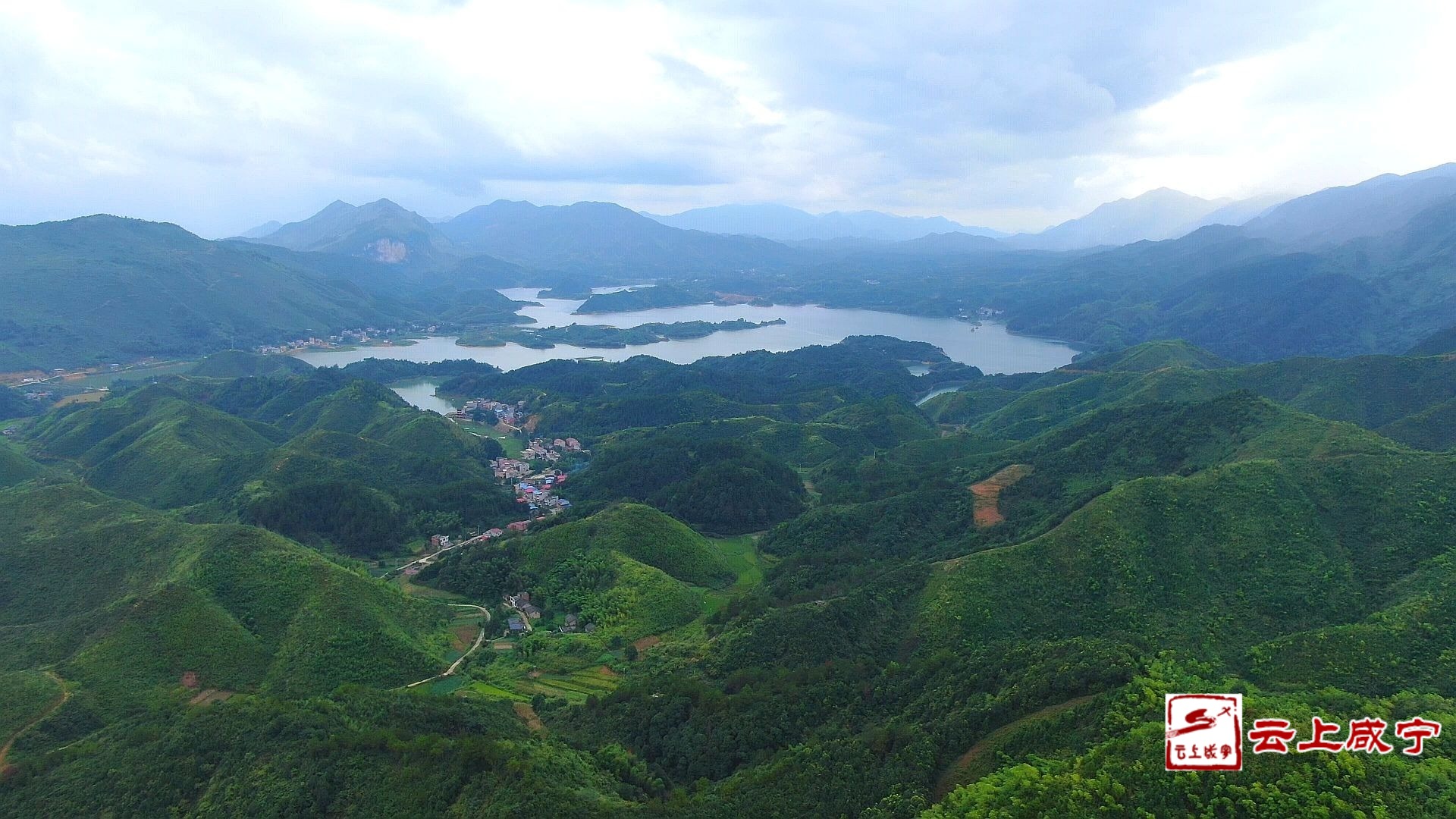 雲上咸寧通山竹林裡的空氣能掙錢