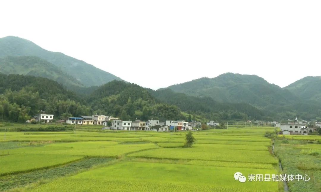 金塘镇寒泉村位于鄂赣边界大湖山脚下,过去因交通不便,人多地少,村里