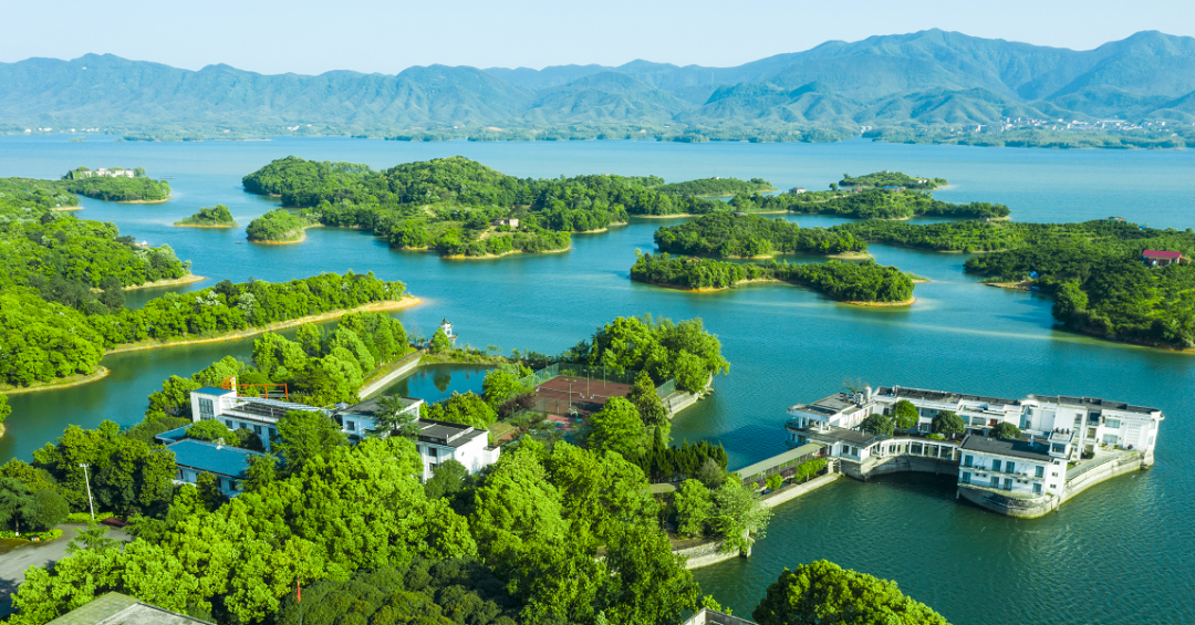 来咸宁开启一场治愈系的洗肺之旅与你林距离