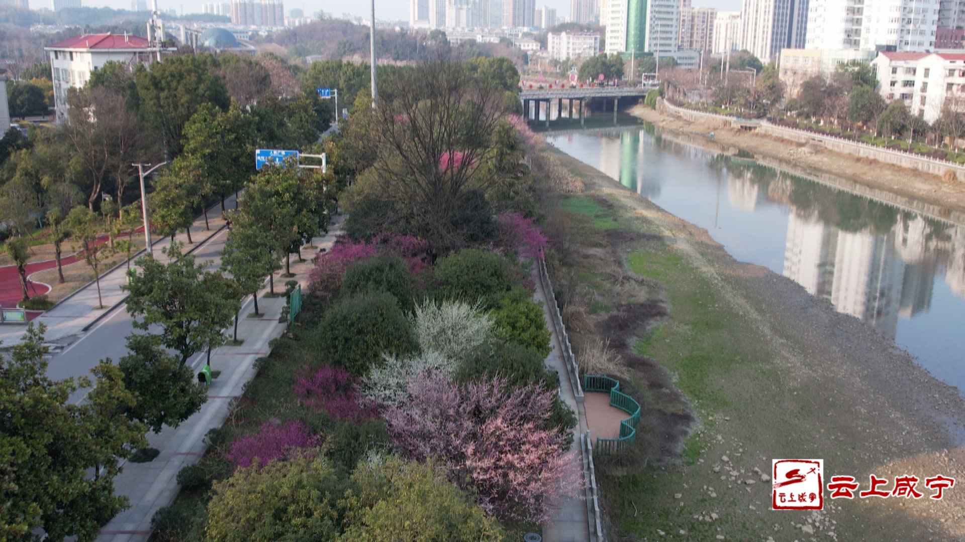 組圖│春風十里不負韶光在公園城市咸寧感受春天氣息