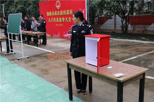 市委常委,政法委书记郭生元,副市长,公安局长段少斌以普通选民身份