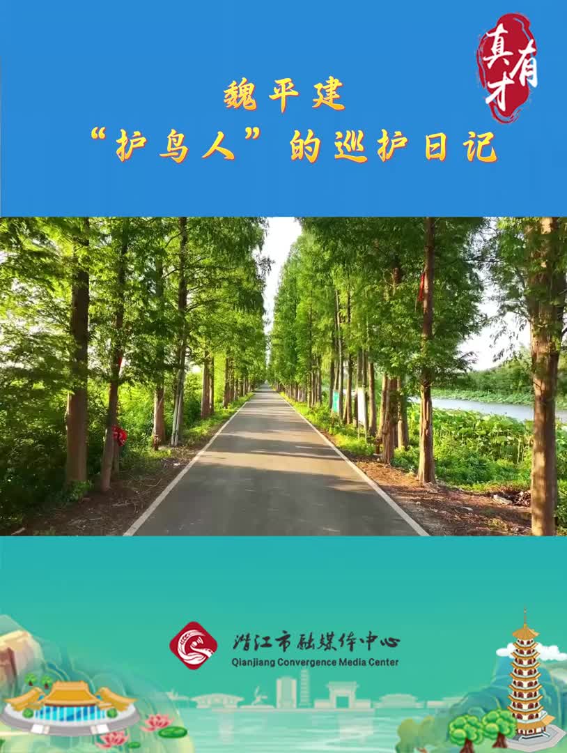 真有才——魏平建：“护鸟人”的巡护日记