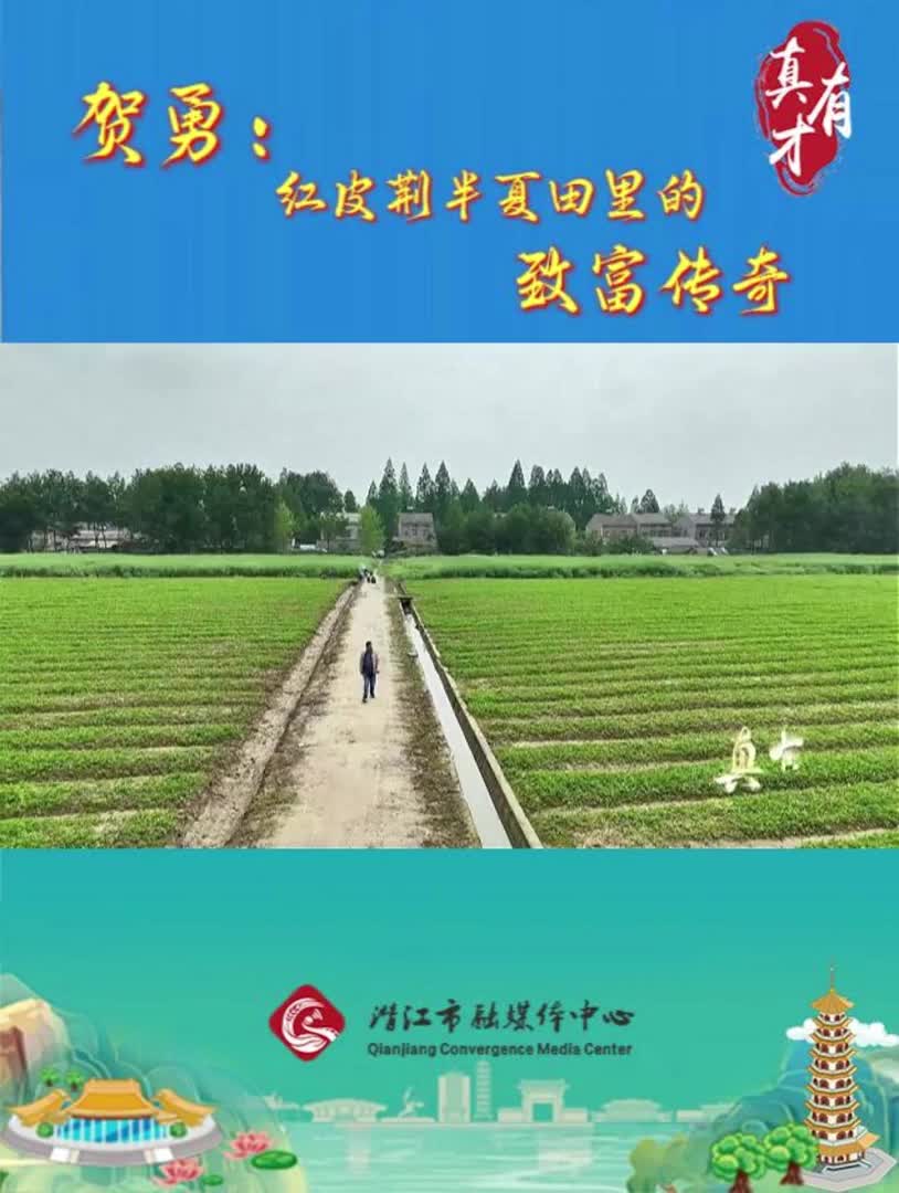 真有才——贺勇