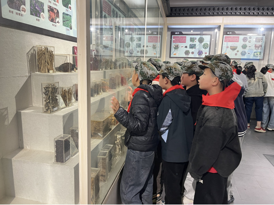 潜半夏中医药文化景区:行走的课堂里传承国粹