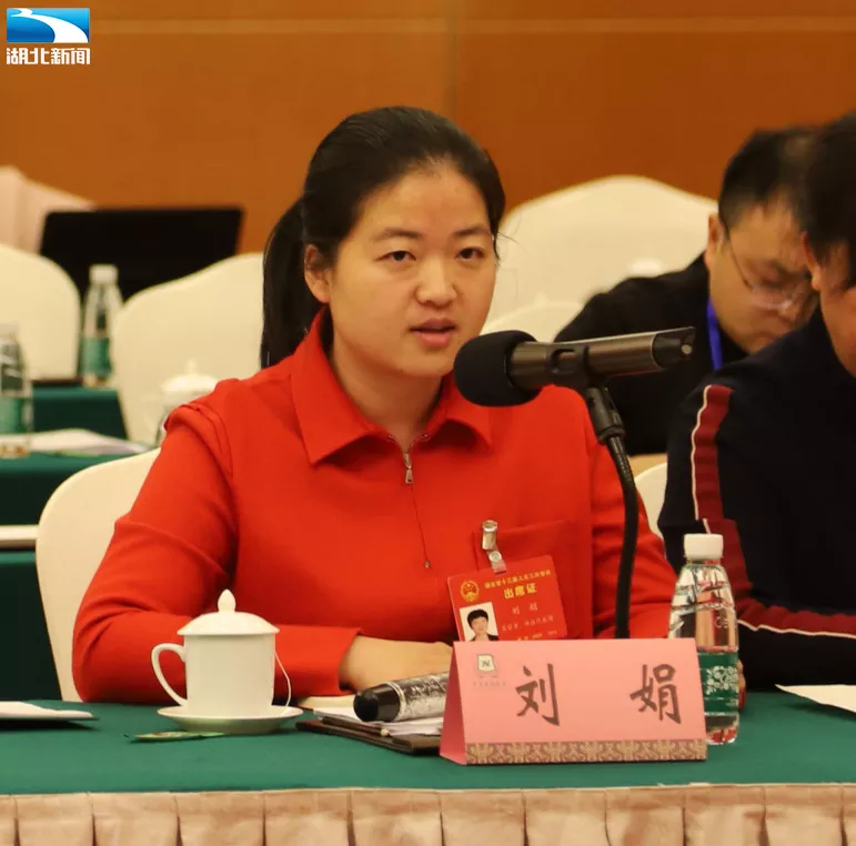 刘娟代表迫在眉睫理顺基层属地责任和属地管理之间权与责关系