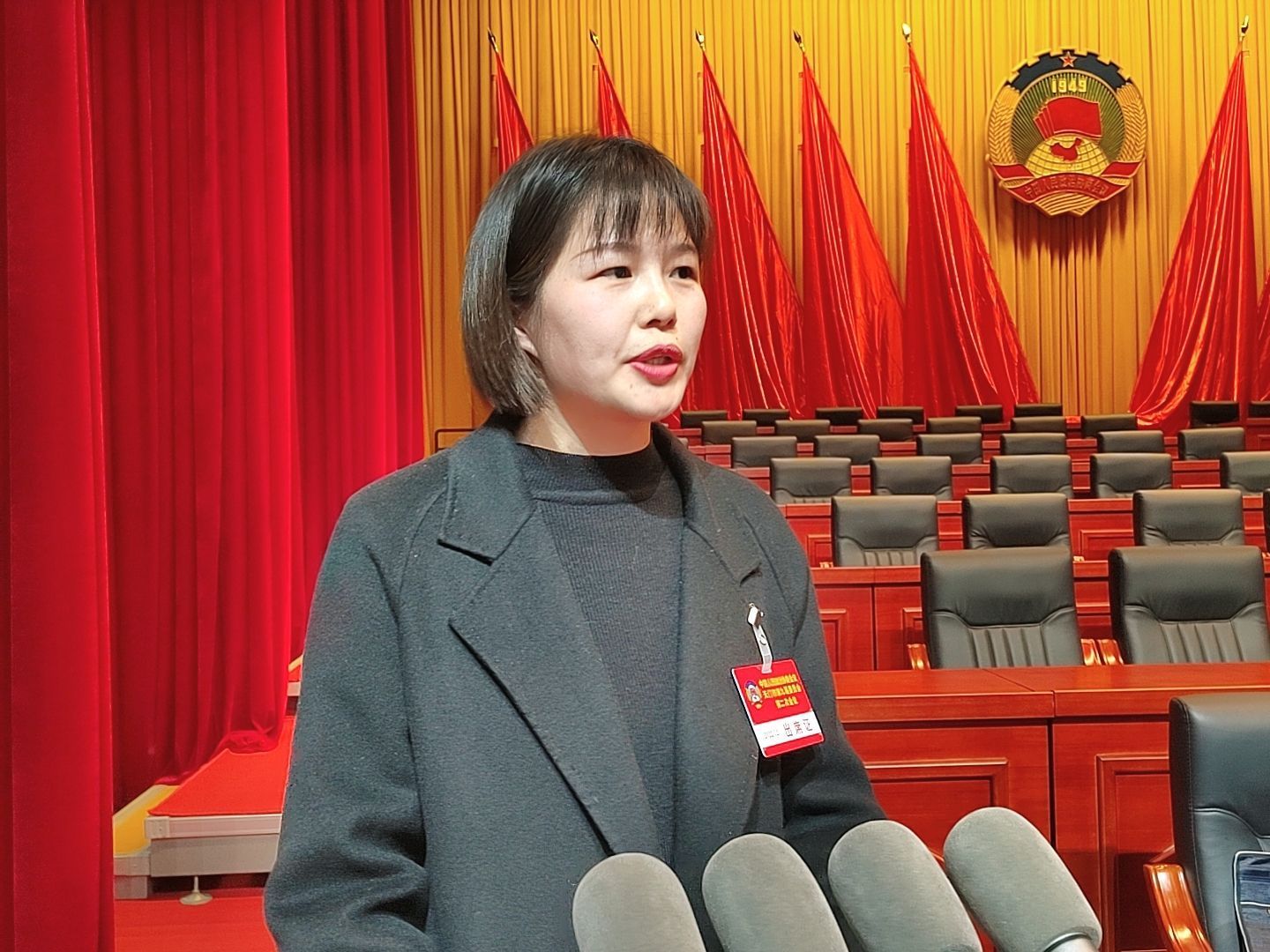 郭瑶委员作大会发言甘普华委员作大会发言曾伟委员作大会发言温莎委员