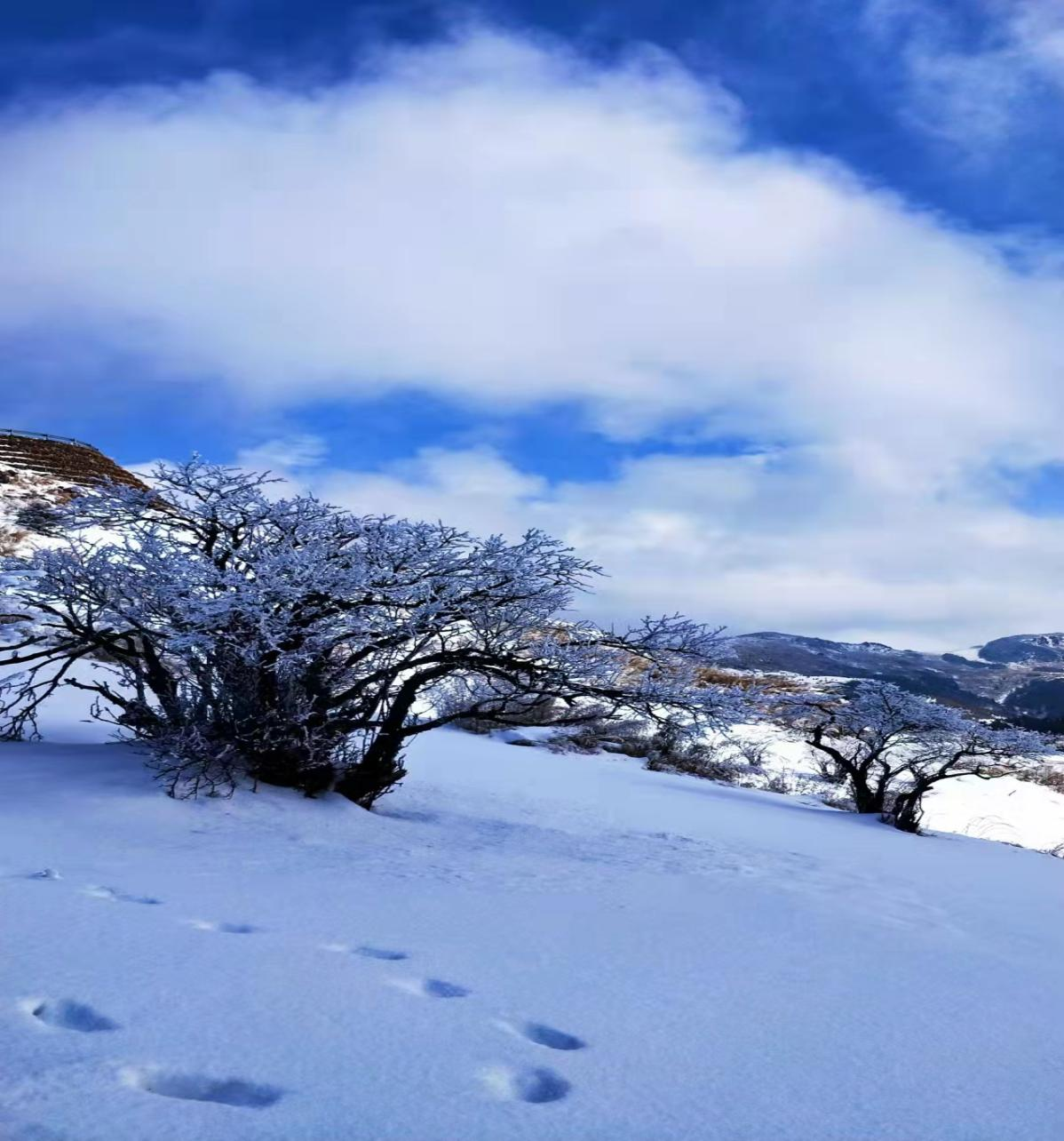雪后短暂晴天神农架美出新高度