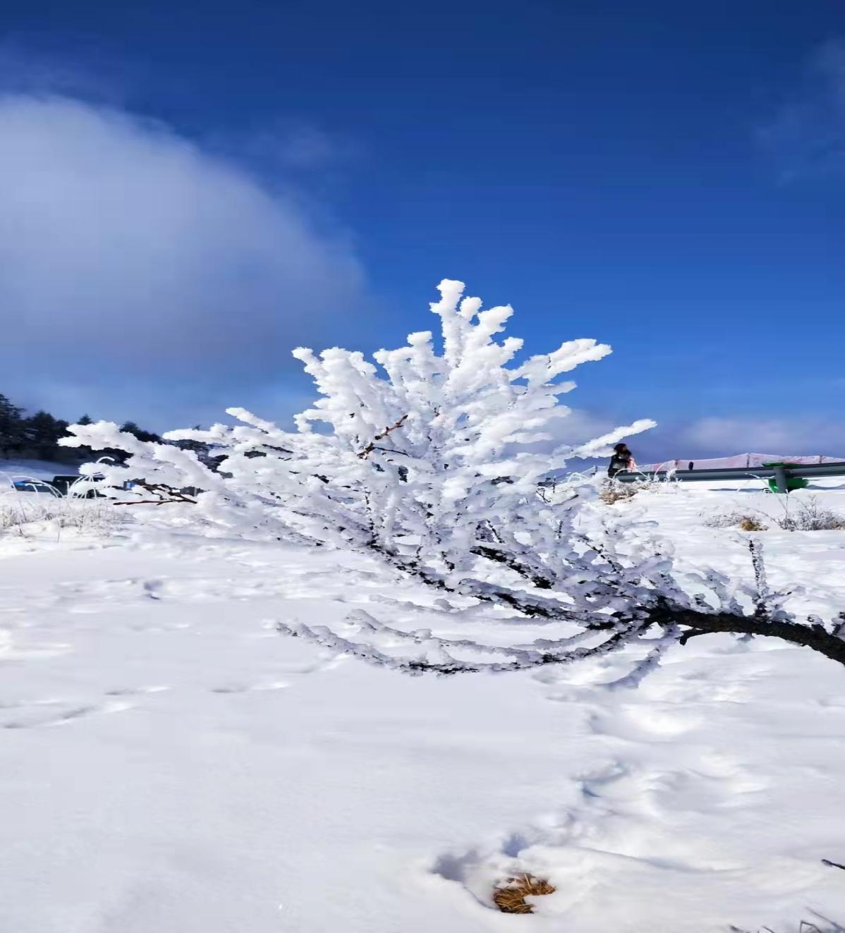 雪后短暂晴天神农架美出新高度