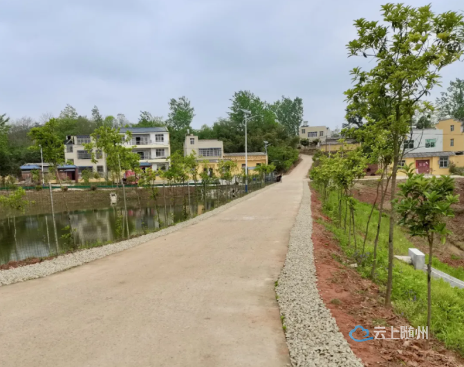 新春走基层丨随州九间屋村美丽乡村展新颜