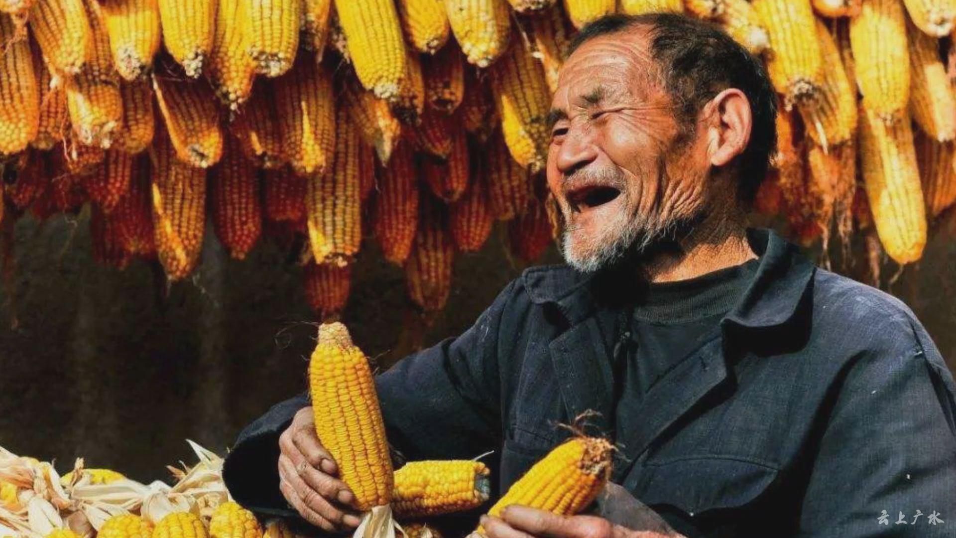 这一张张笑脸洋溢着金秋九月丰收的喜悦