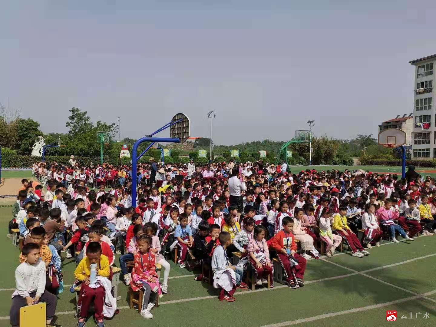 长岭镇中心小学图片