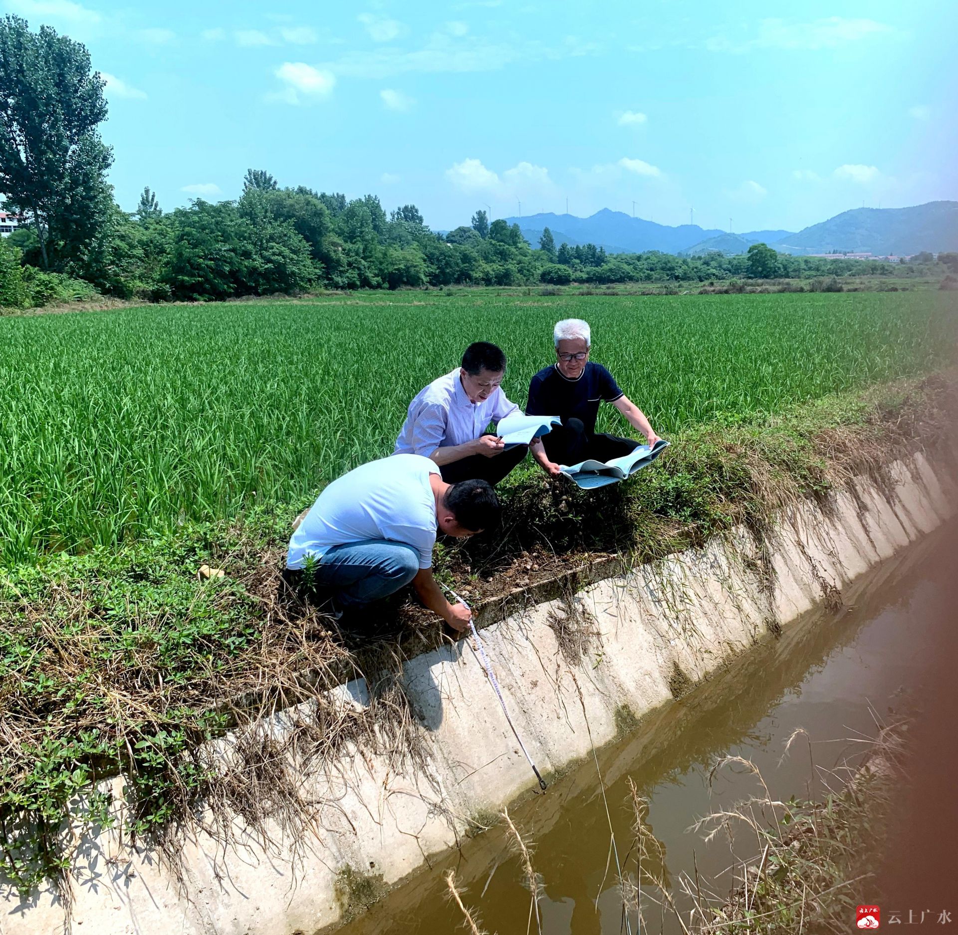 探索绿色之路：养殖场污水处理技术的应用