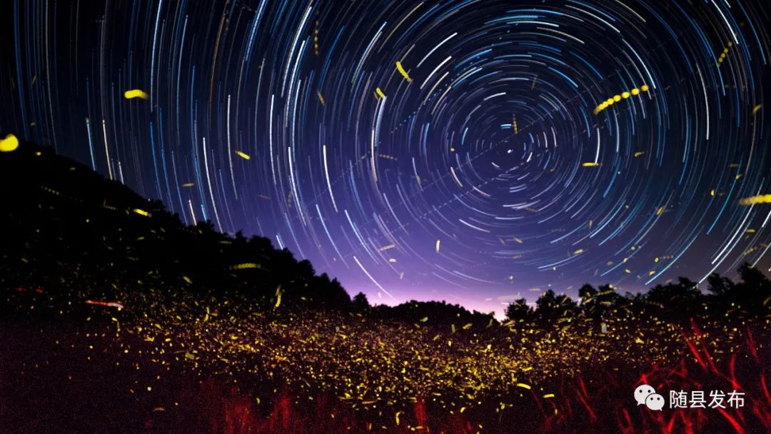 中国中部醉美萤火虫星空一随县淮河镇抱朴谷