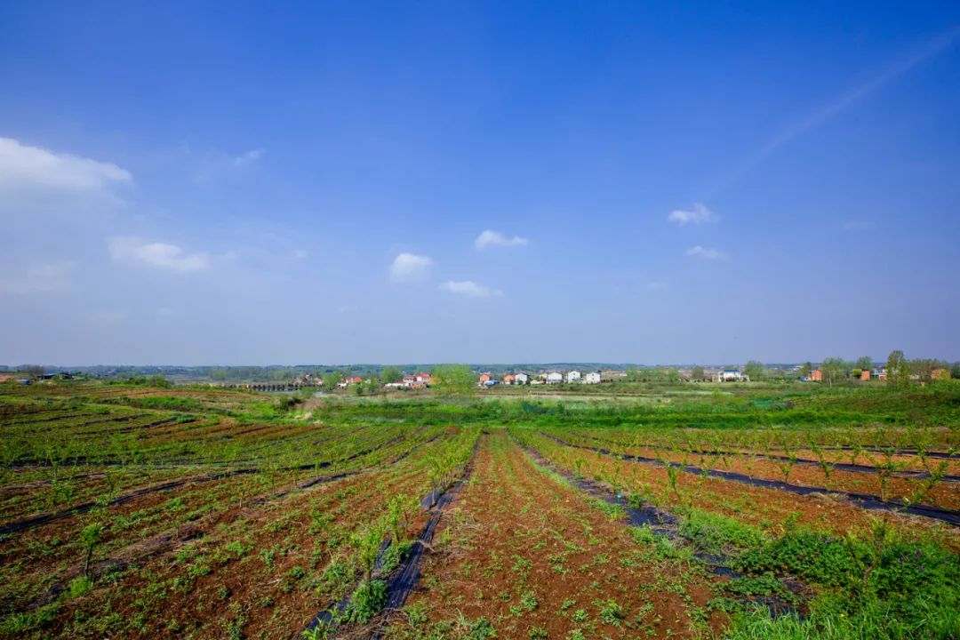 随县故事之厉山镇兰花节暨双寨村乡村振兴文艺采风掠影七十五期