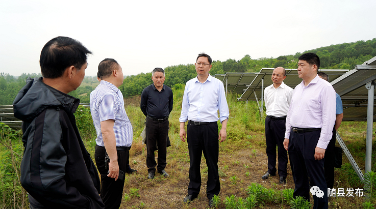 陈武带队督导饮用水源地保护和生态修复工作_云上随县