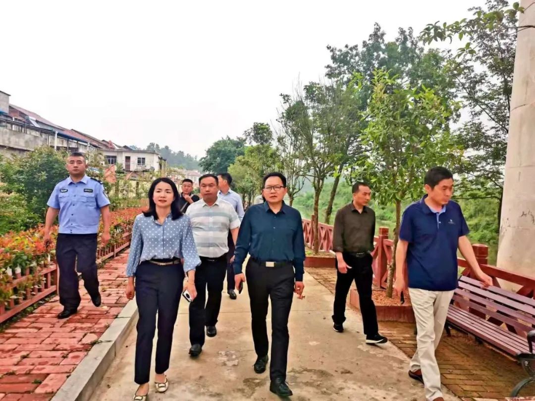 县领导到小林镇指导调研防汛抗旱和乡村振兴工作_云上随县