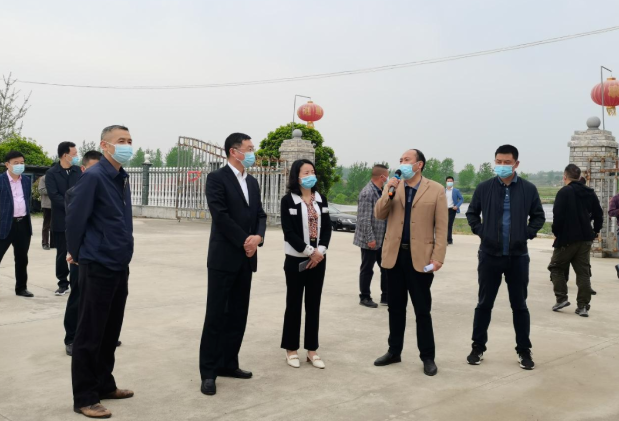 在尚市镇,何仁义一行实地走访了随县倍健堂食品股份有限公司,王家河村