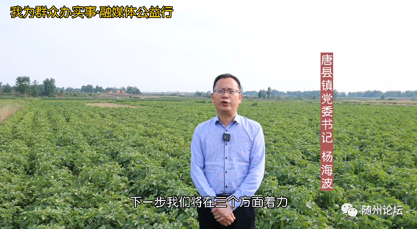 唐县镇党委书记杨海波说:"用科技赋能特色种养,打造唐县镇独有的绿色