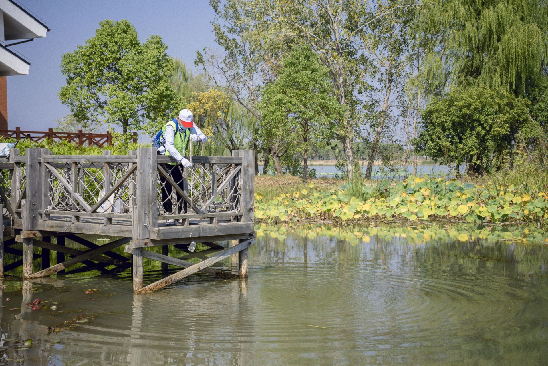 據瞭解,位於東西湖區柏泉街的杜公湖國家溼地公園為東西湖區第二個