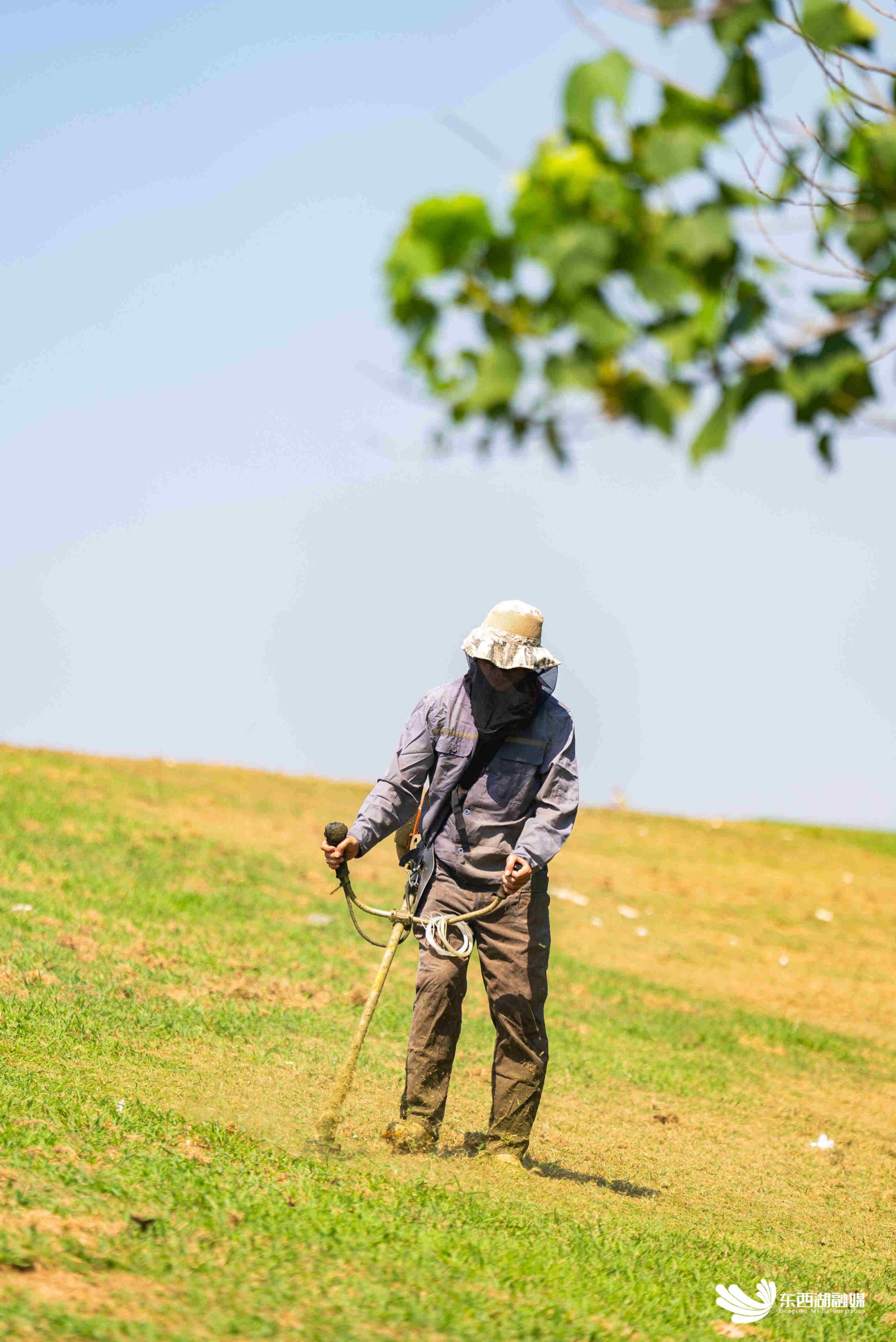 武汉东西湖:炎炎夏日 汉江干堤除草忙