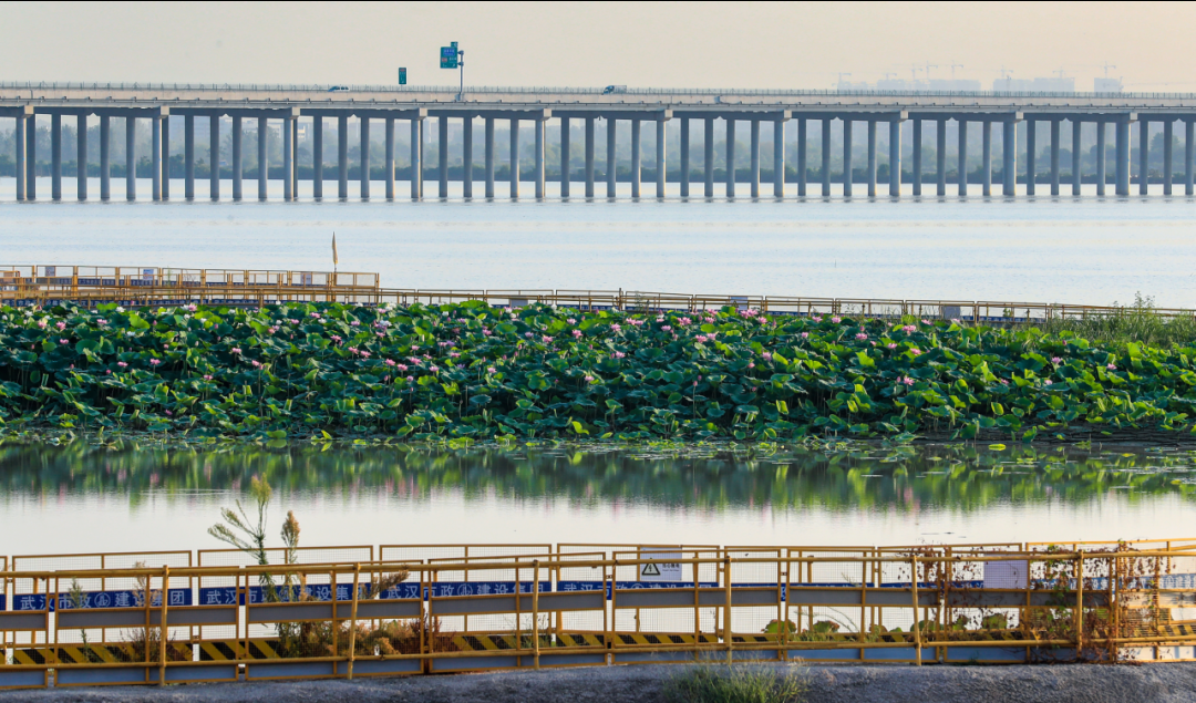 武汉黄陂:木兰山"论剑"|盘龙水投篇_长江云 - 湖北网络广播电视台官方