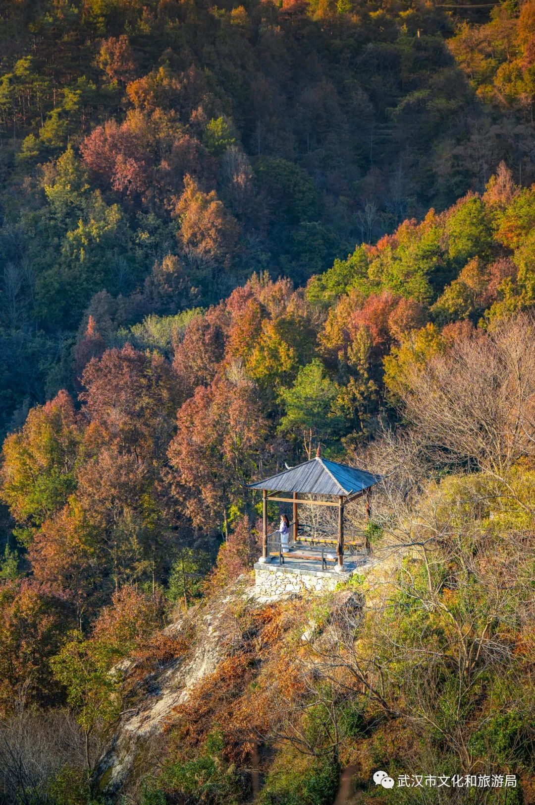 现在山谷里的枫叶已经红了六成,晚枫亭是最佳观赏点