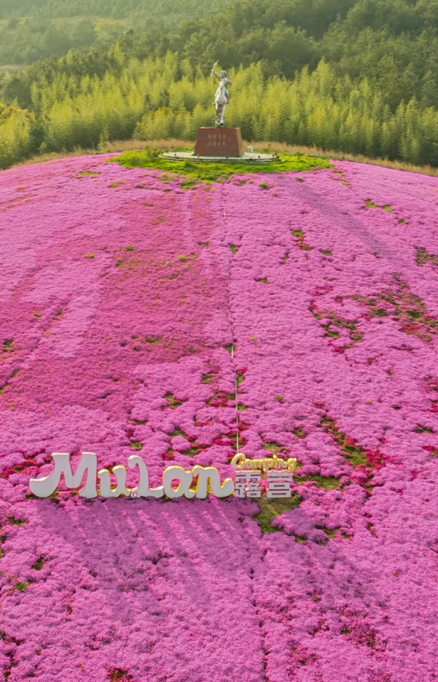 武汉黄陂:趁春风 放纸鸢!4月27日在木兰草原相约国际风筝节