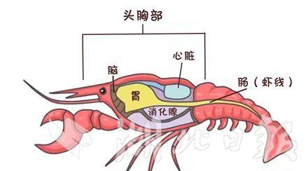 7bbb5711-ae57-4b74-98ac-96b1a7a85b42 (1)