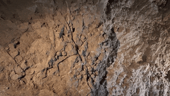 640 (2).gif