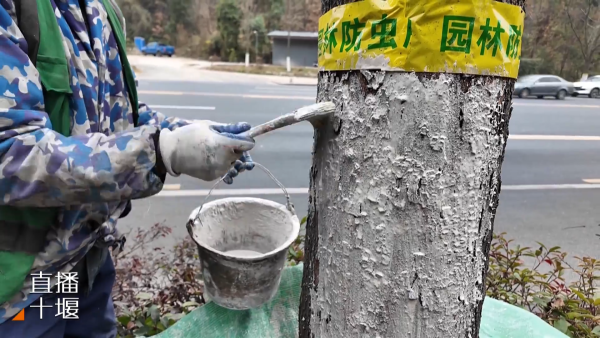 DF7DQAAAABJRU5ErkJggg==