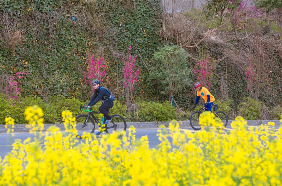 640_wx_fmt=png&from=appmsg&tp=webp&wxfrom=5&wx_lazy=1 (4)