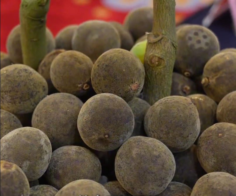 b67c031a4b374a8fb0a94819ac8237d5