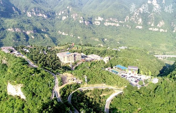 杨家河村小水果带动大经济